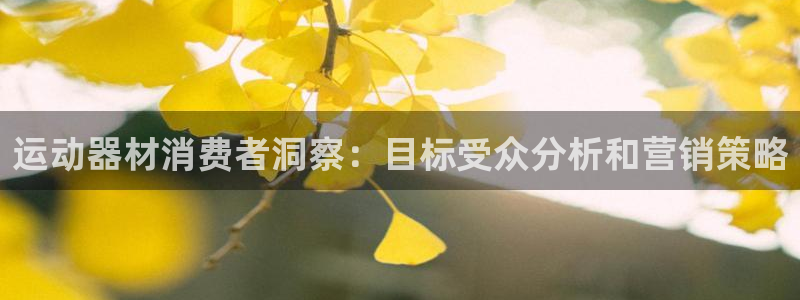 意昂体育3联系电话：运动器材消费者洞察：目标受众分析
