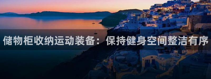 意昂体育3招商电话：储物柜收纳运动装备：保持健身空间