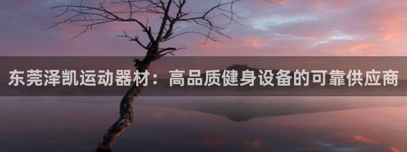 意昂体育3是干嘛的公司：东莞泽凯运动器材：高品质健身