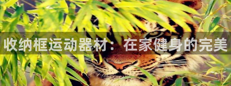 意昂体育3平台注册流程视频：收纳框运动器材：在家健身