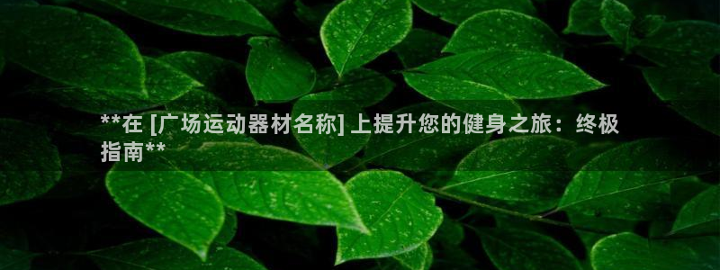 意昂3集团官网网址：**在 [广场运动器材名称] 上