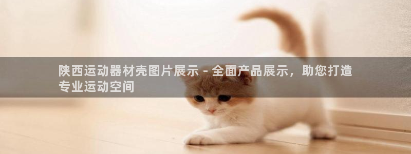 意昂体育3平台注册流程视频：陕西运动器材壳图片展示 