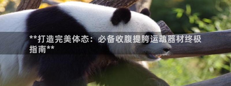 注册意昂3：**打造完美体态：必备收腹提胯运动器材终