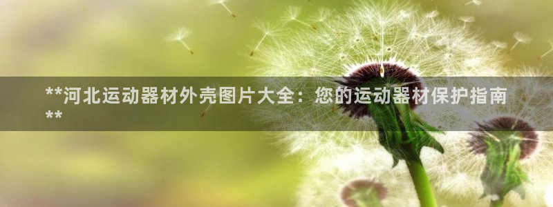 意昂平台体育：**河北运动器材外壳图片大全：您的运动