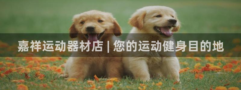 意昂体育3娱乐：嘉祥运动器材店 | 您的运动健身目的