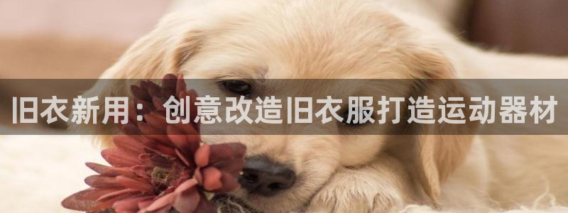 意昂体育3招商：旧衣新用：创意改造旧衣服打造运动器材