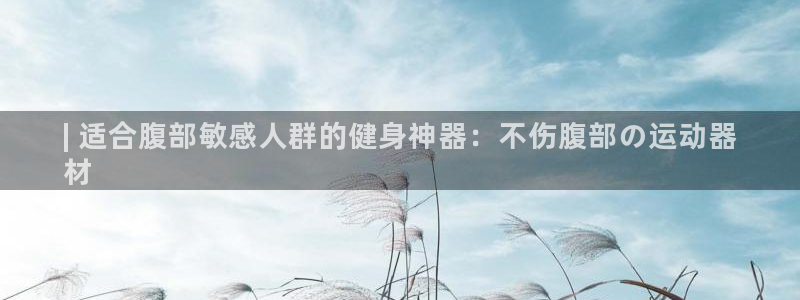 意昂3代理：| 适合腹部敏感人群的健身神器：不伤腹部