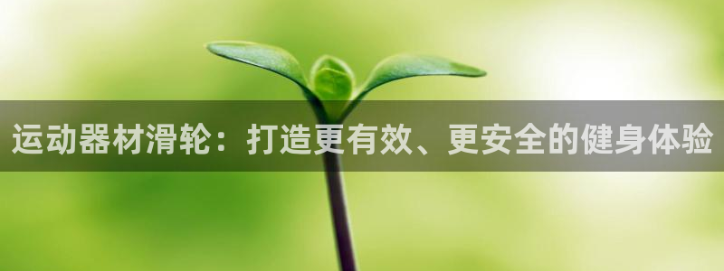 意昂体育3招商电话号码查询是多少：运动器材滑轮：打造