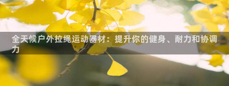 意昂体育3招商电话号码是多少：全天候户外拉绳运动器材