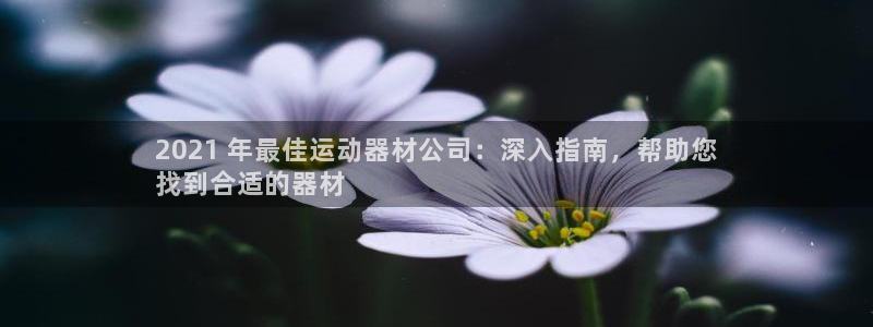 意昂体育3是干嘛的公司：2021 年最佳运动器材公司