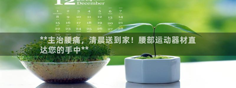 意昂体育3：**主治腰痛，清晨送到家！腰部运动器材直