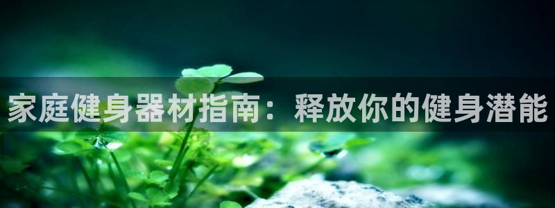 意昂体育3招商电话是多少：家庭健身器材指南：释放你的
