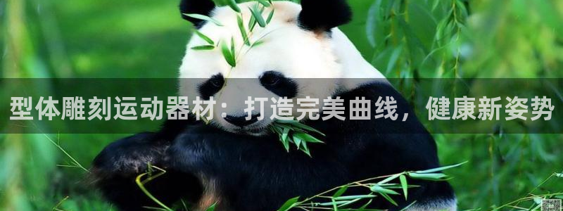 意昂体育3招商电话号码查询：型体雕刻运动器材：打造完