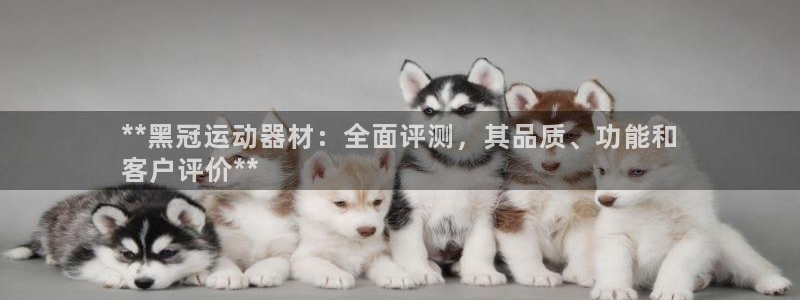 意昂3科技：**黑冠运动器材：全面评测，其品质、功能