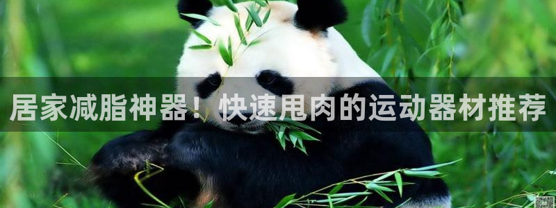 意昂体育3平台是正规平台吗知乎：居家减脂神器！快速甩