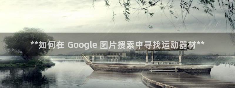 意昂3代理：**如何在 Google 图片搜索中寻找