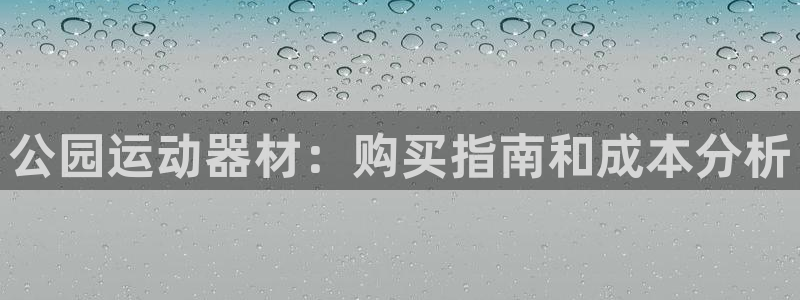 意昂体育3：公园运动器材：购买指南和成本分析