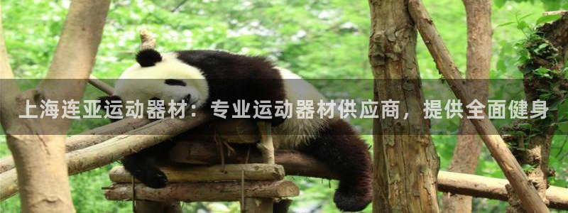 意昂体育3招商电话号码是多少号：上海连亚运动器材：专
