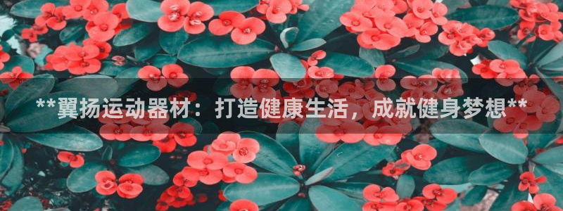 意昂体育3娱乐：**翼扬运动器材：打造健康生活，成就健身梦想
