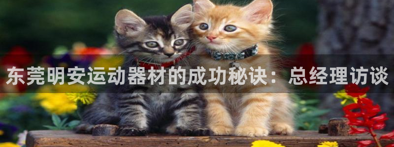 海南意昂体育3发展怎么样：东莞明安运动器材的成功秘诀：总经理