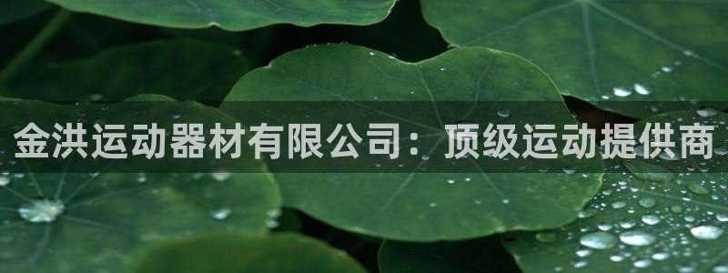 意昂3代理：金洪运动器材有限公司：顶级运动提供商