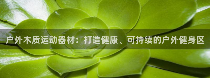 意昂3娱乐首页官网下载：户外木质运动器材：打造健康、