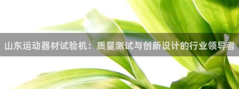 海南意昂体育3发展怎么样：山东运动器材试验机：质量测试与创新