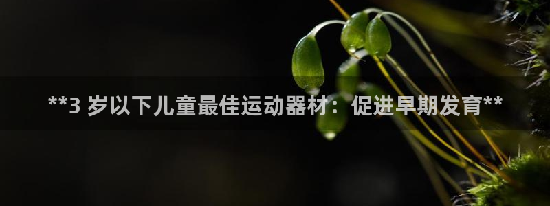 海南意昂体育3：**3 岁以下儿童最佳运动器材：促进
