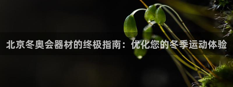 意昂3新能源：北京冬奥会器材的终极指南：优化您的冬季