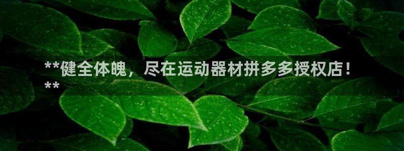 意昂3代理：**健全体魄，尽在运动器材拼多多授权店！