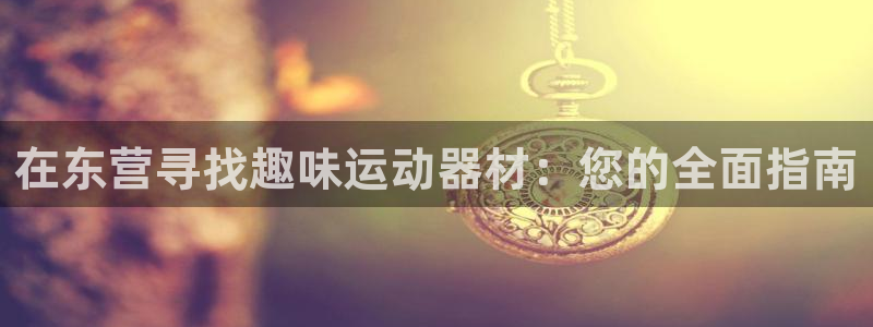 意昂3官方：在东营寻找趣味运动器材：您的全面指南