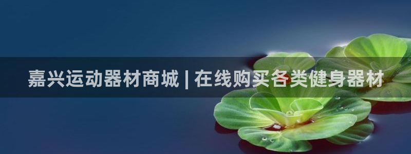 意昂体育3平台：嘉兴运动器材商城 | 在线购买各类健