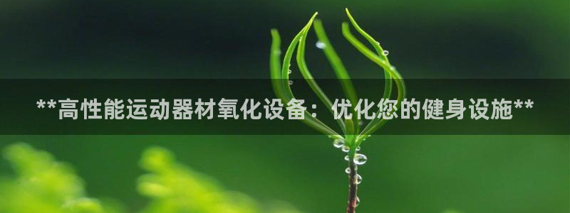 意昂体育3平台假的吗是真的吗吗：**高性能运动器材氧