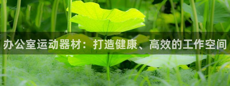 海南意昂体育3发展怎么样：办公室运动器材：打造健康、