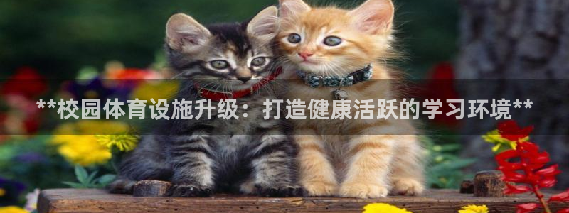 意昂体育3招商电话地址查询：**校园体育设施升级：打
