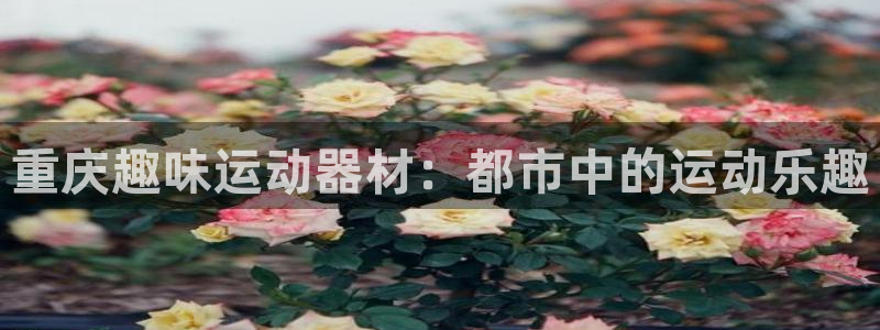 意昂3娱乐是那个系列的台子：重庆趣味运动器材：都市中
