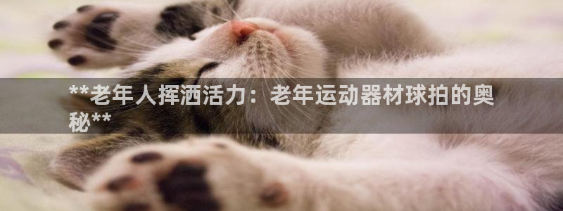 海南意昂体育3：**老年人挥洒活力：老年运动器材球拍