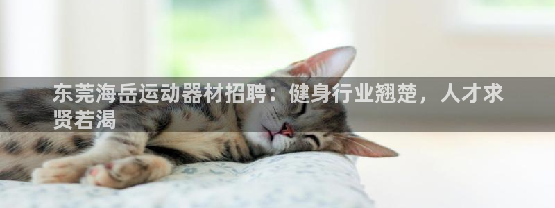 意昂3娱乐平台：东莞海岳运动器材招聘：健身行业翘楚，人才求
