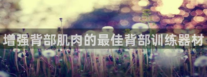 意昂体育3招商电话地址查询：增强背部肌肉的最佳背部训