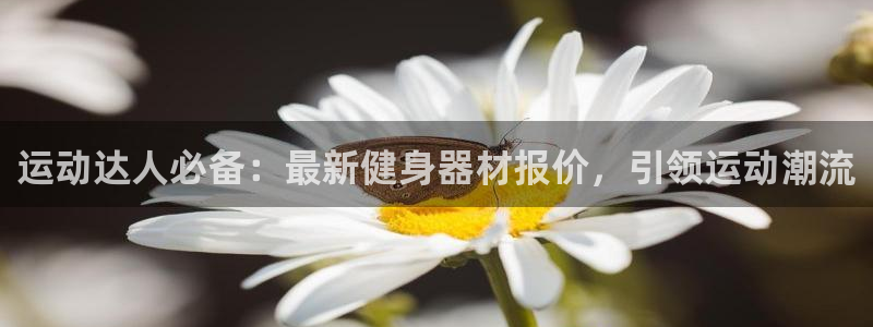 意昂3娱乐下载：运动达人必备：最新健身器材报价，引领