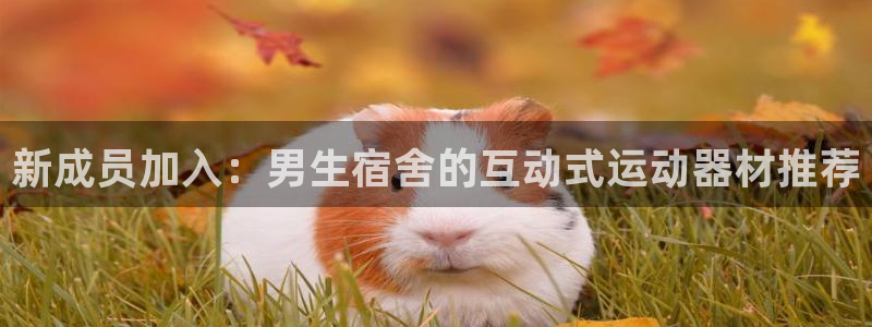 意昂体育3平台是正规平台吗