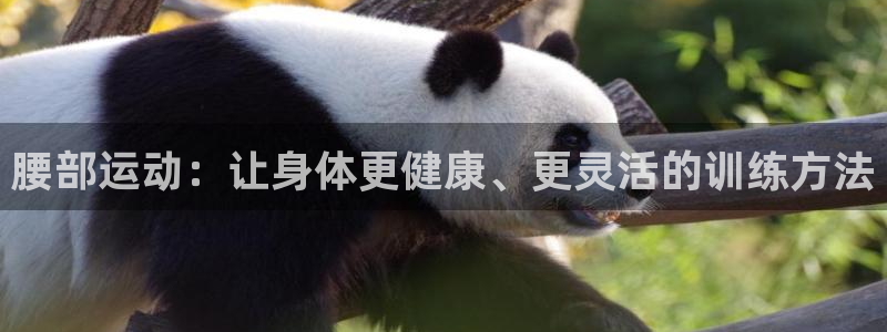 意昂体育3是干嘛的公司