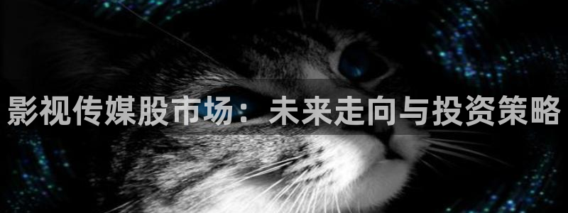 四库影院在线免费观看：影视传媒股市场：未来走向与投资策略