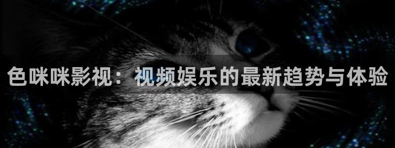 四库影院永久地址