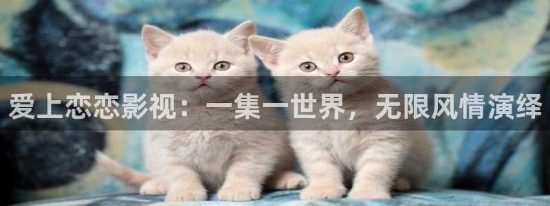 四库影院成人