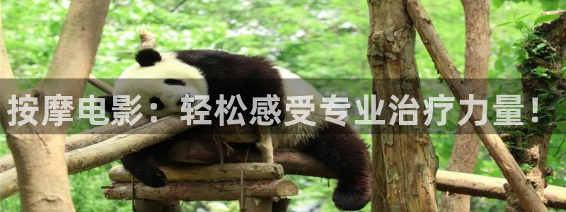 四库免费影院
