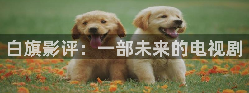 四库影院海外