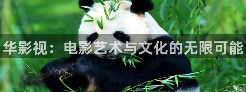四库影院的地址