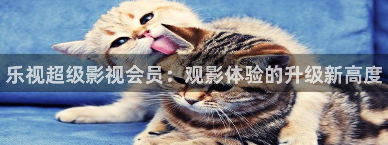 四库成人影院：乐视超级影视会员：观影体验的升级新高度